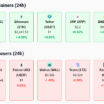 top gainers