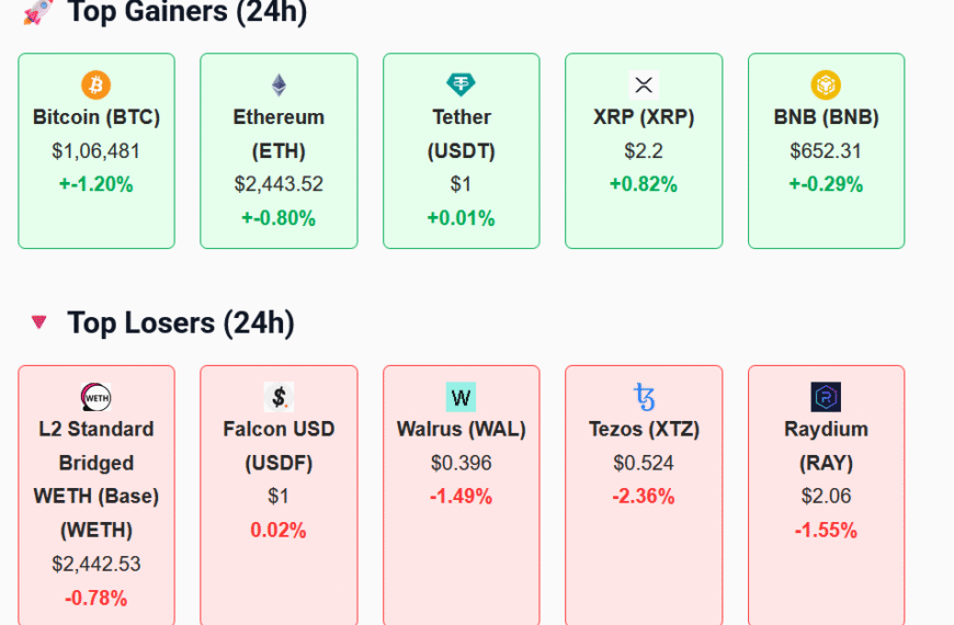 top gainers